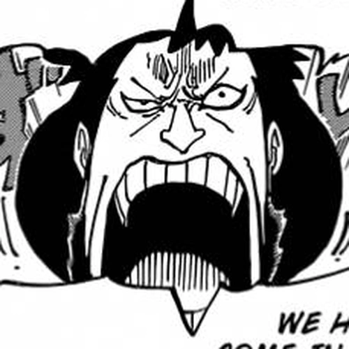 One Piece Manga Chapter 816 (Dog vs. Cat) cover