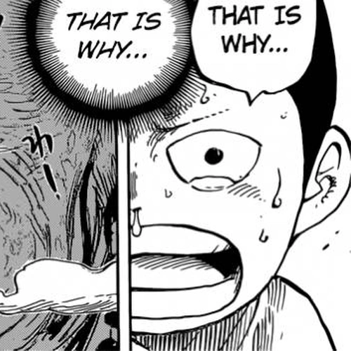 One Piece Manga Chapter 821 (Understood) cover