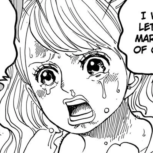 One Piece Manga Chapter 845 (Forces of Rage) cover