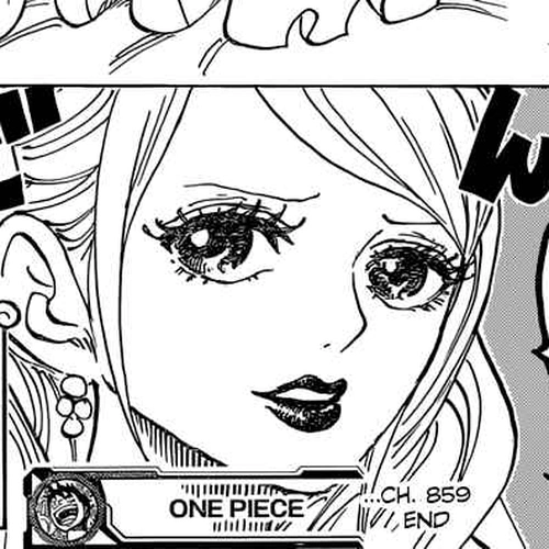 One Piece Manga Chapter 859 (Emperor Assassination Plan) cover