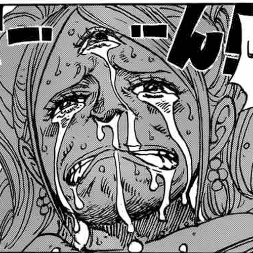 One Piece Manga Chapter 896 (The Last Request) cover