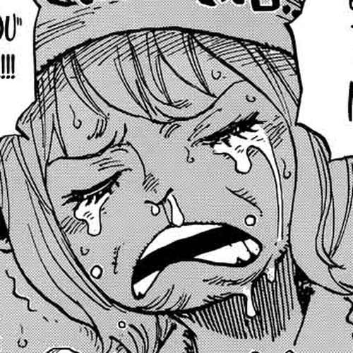 One Piece Manga Chapter 902 (End Roll) cover