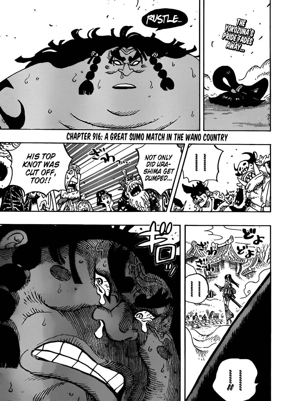 One Piece Manga Chapter 916 page 3 - Wano Country Grand Sumo Tournament
