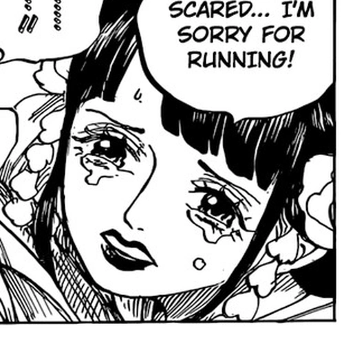 One Piece Manga Chapter 952 (Hiyori and Kawamatsu) cover