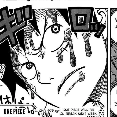 One Piece Manga Chapter 979 (Family Problem) cover