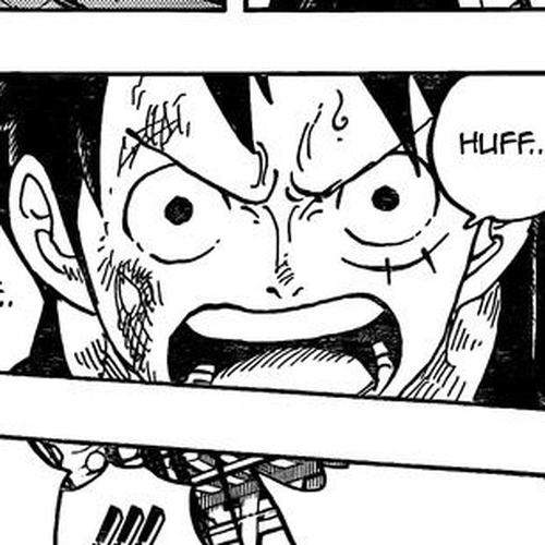 One Piece Manga Chapter 991 (Let Us Die!!!) cover