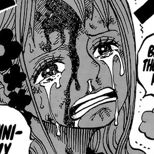 One Piece Manga Chapter 995 (A Kunoichi's Oath) cover